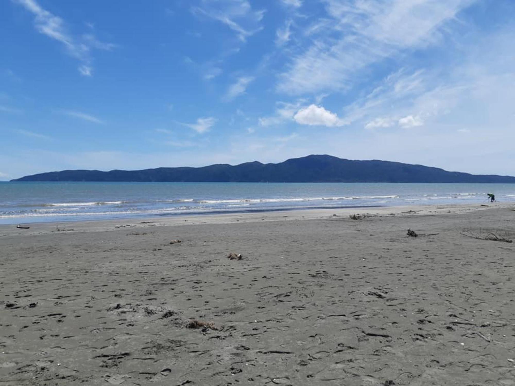 Raumati Guest House Paraparaumu Zewnętrze zdjęcie