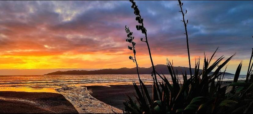 Raumati Guest House Paraparaumu Zewnętrze zdjęcie